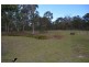 225 Tunnel Road, Dalveen QLD 4374