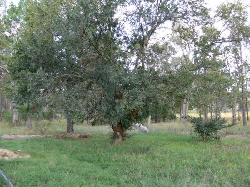 63 Caslick Lane, Broadwater QLD 4380