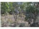 93 Hale Haven, Stanthorpe QLD 4380