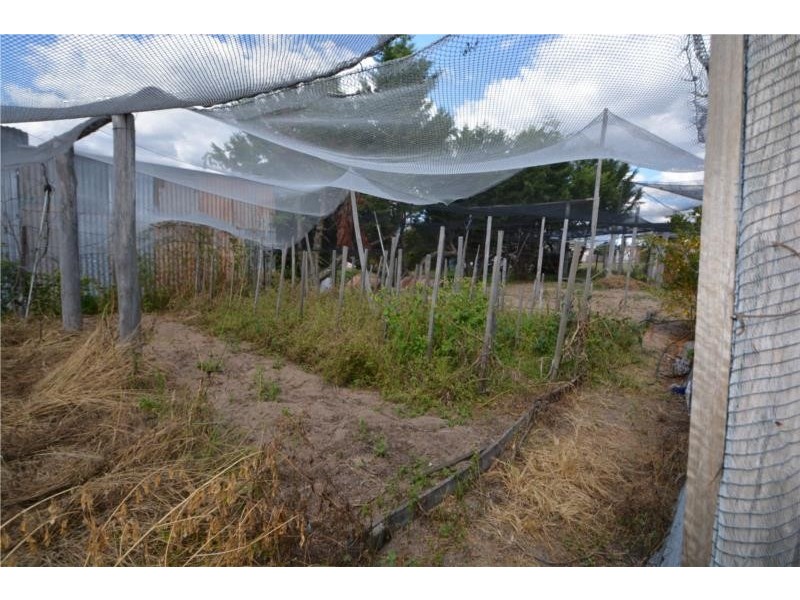 40 Pierpoint Street, Stanthorpe QLD 4380