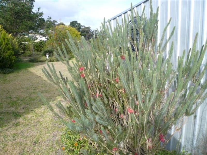 27 Bruhn Lane, Thulimbah QLD 4376