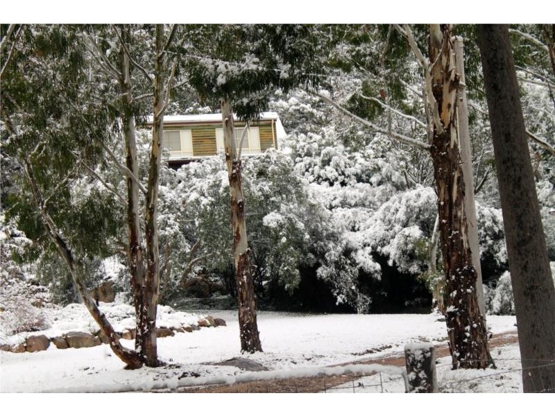 79 Lees Mountain Road, Stanthorpe QLD 4380