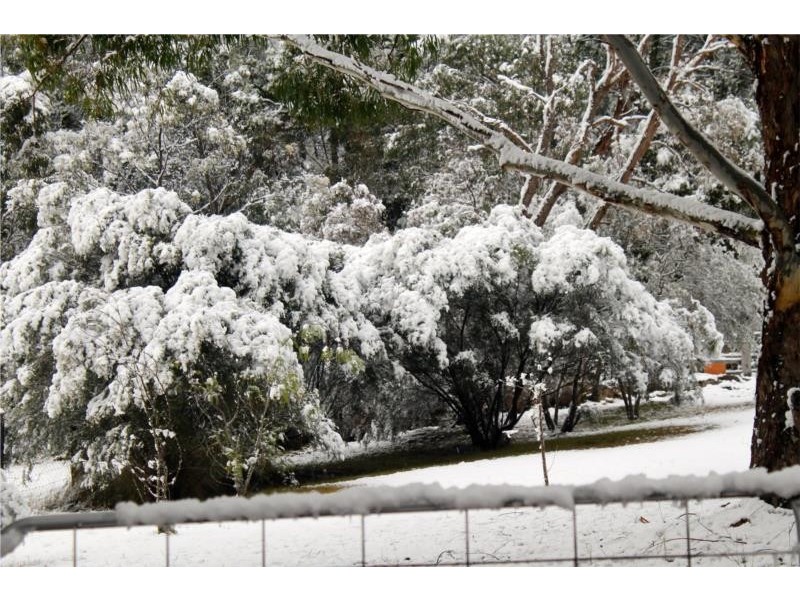79 Lees Mountain Road, Stanthorpe QLD 4380