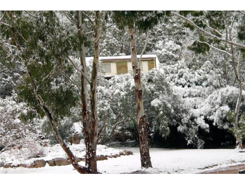 79 Lees Mountain Road, Stanthorpe QLD 4380