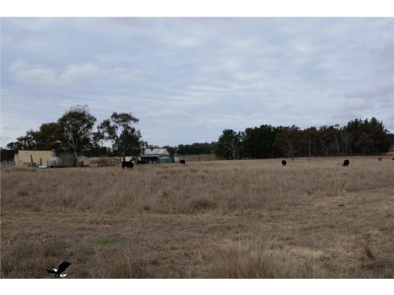 376 Nielsens, Storm King QLD 4380