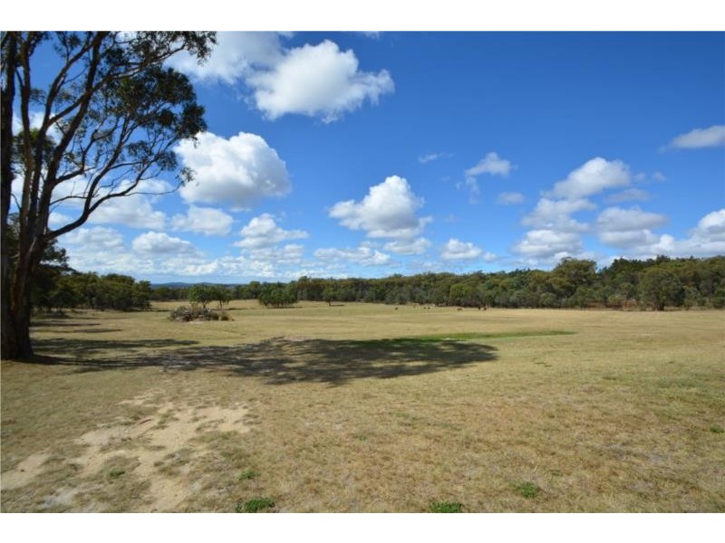 1114 Rabbit Fence Road, Dalveen QLD 4374