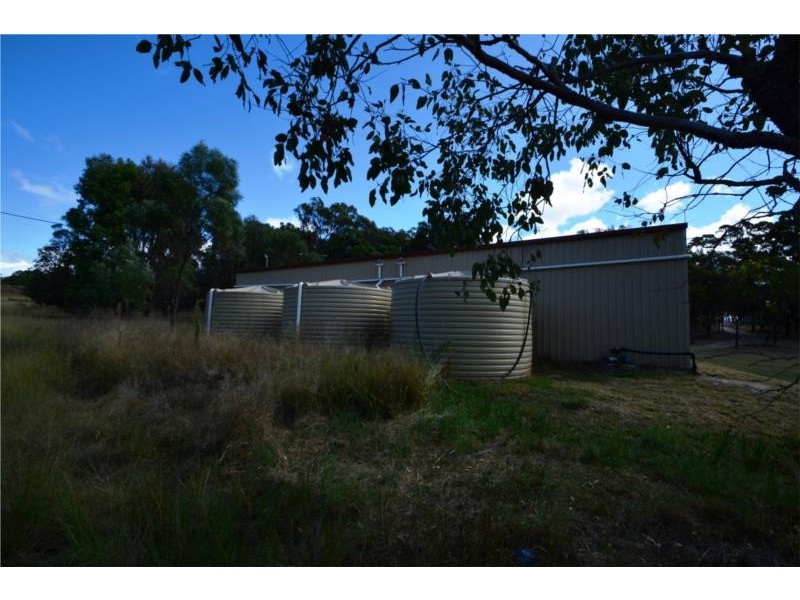 1114 Rabbit Fence Road, Dalveen QLD 4374