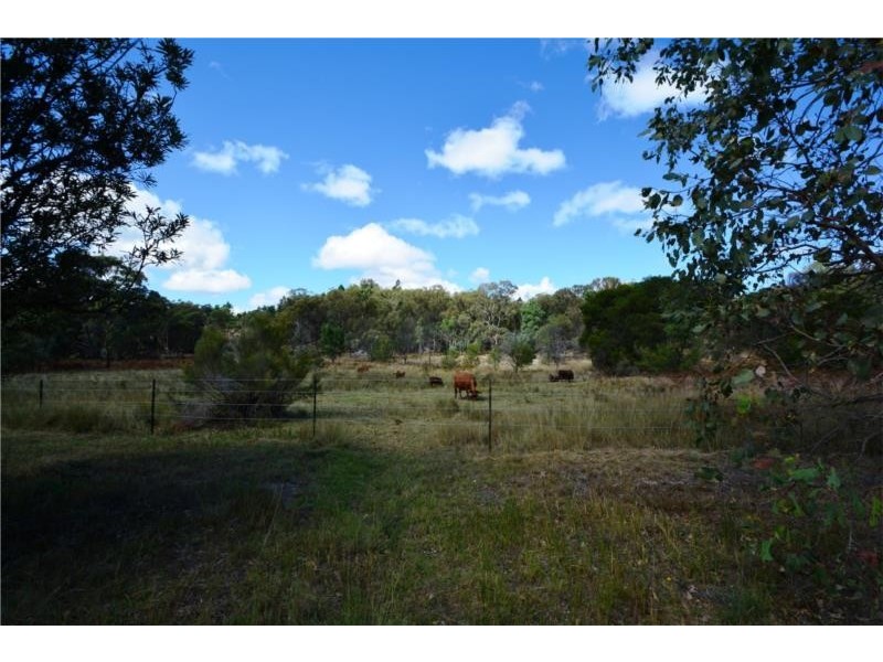 1114 Rabbit Fence Road, Dalveen QLD 4374