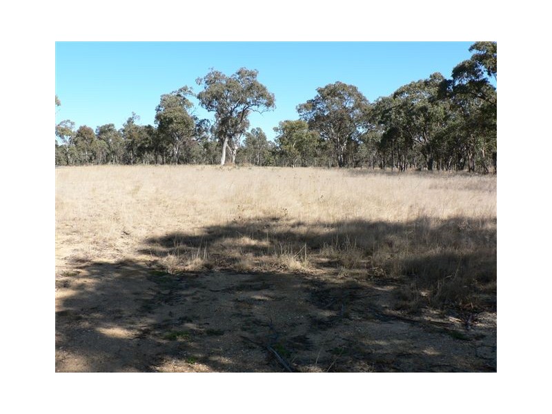 Lot 1 Ballandean Street, Stanthorpe QLD 4380