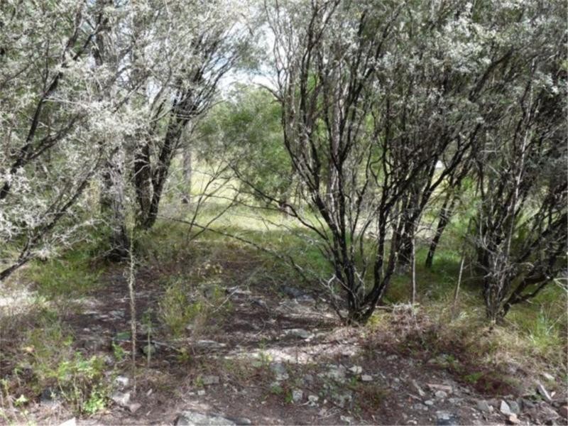 221 Diamondvale Road, Stanthorpe QLD 4380