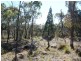 Lot 3 Rapisarda Lane, Stanthorpe QLD 4380