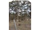 Lot 8 Stanthorpe Street, LISTON NSW..via, Stanthorpe QLD 4380