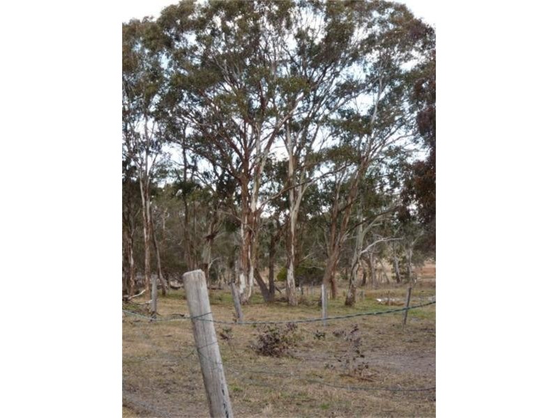 Lot 8 Stanthorpe Street, LISTON NSW..via, Stanthorpe QLD 4380