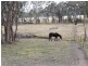 Lot 8 Stanthorpe Street, LISTON NSW..via, Stanthorpe QLD 4380