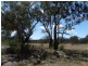 Lot 2 Sugarloaf Road, Stanthorpe QLD 4380