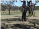Lot 2 Sugarloaf Road, Stanthorpe QLD 4380