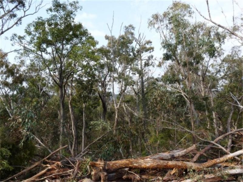 Lot 22 Marinis Road, Stanthorpe QLD 4380