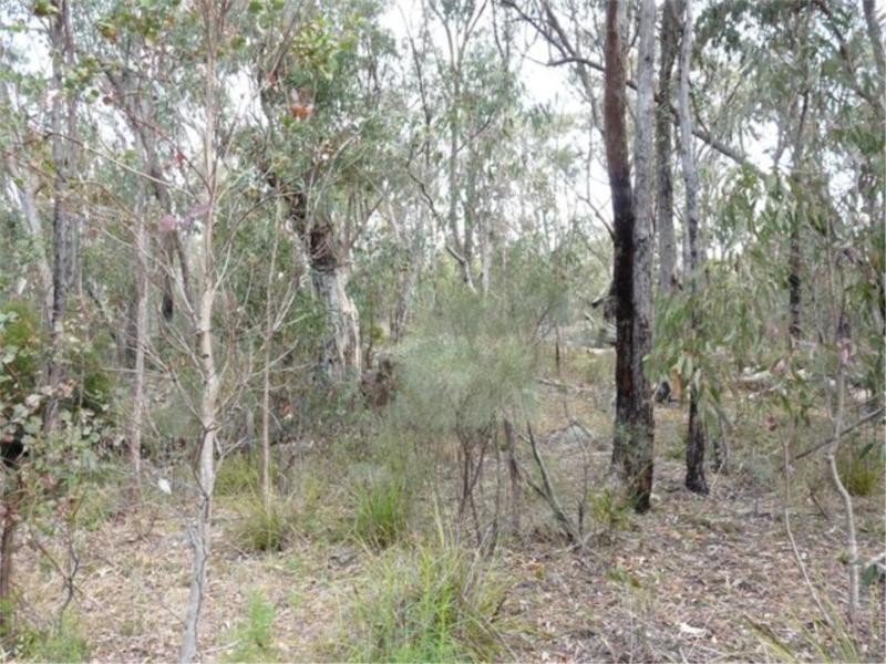 Lot 22 Marinis Road, Stanthorpe QLD 4380
