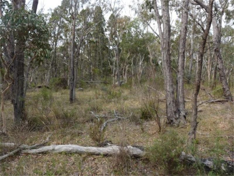 Lot 22 Marinis Road, Stanthorpe QLD 4380