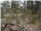 Lot 22 Marinis Road, Stanthorpe QLD 4380