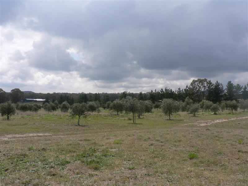 11 Kerridges Road, Stanthorpe QLD 4380
