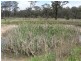 11 Kerridges Road, Stanthorpe QLD 4380