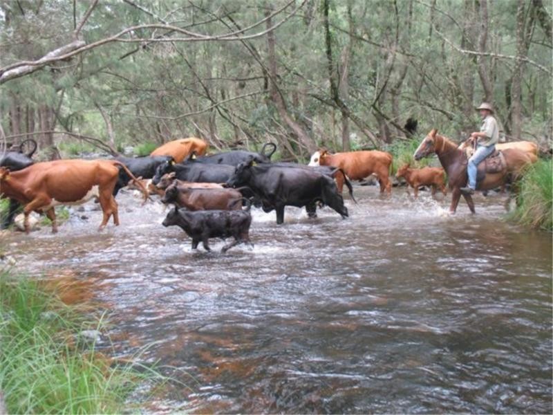 Lot 54-55 Undercliffe Road, Stanthorpe QLD 4380