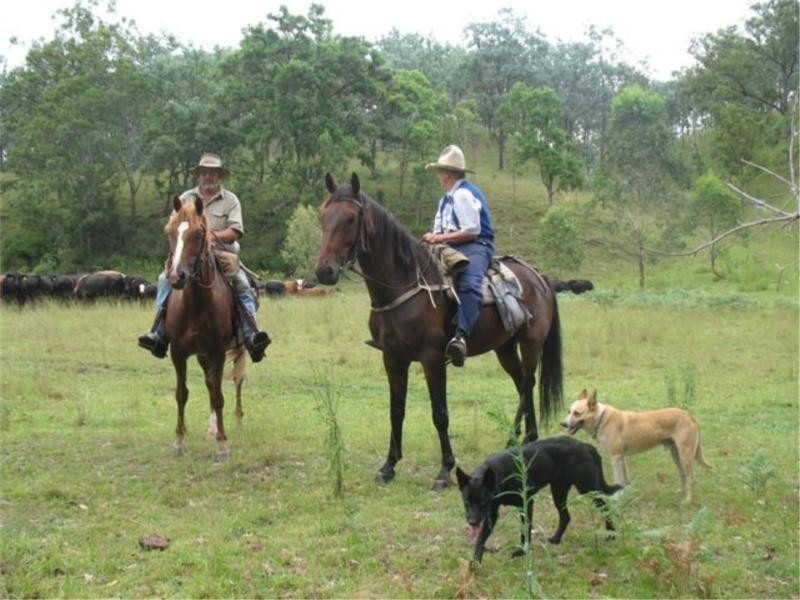 Lot 54-55 Undercliffe Road, Stanthorpe QLD 4380