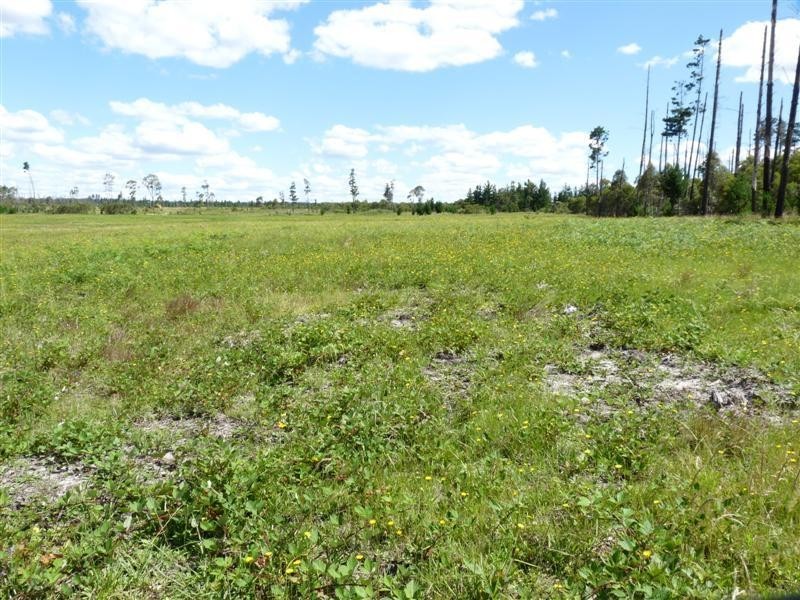 Lots 216 & 217 Sunrise Road, Sugarloaf via, Stanthorpe QLD 4380