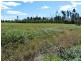 Lots 216 & 217 Sunrise Road, Sugarloaf via, Stanthorpe QLD 4380
