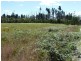 Lots 216 & 217 Sunrise Road, Sugarloaf via, Stanthorpe QLD 4380