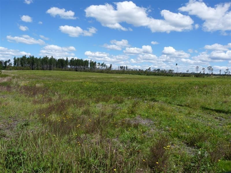 Lot 217 Sunrise Road, Sugarloaf via, Stanthorpe QLD 4380