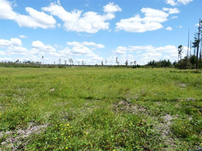 Lot 217 Sunrise Road, Sugarloaf via, Stanthorpe QLD 4380