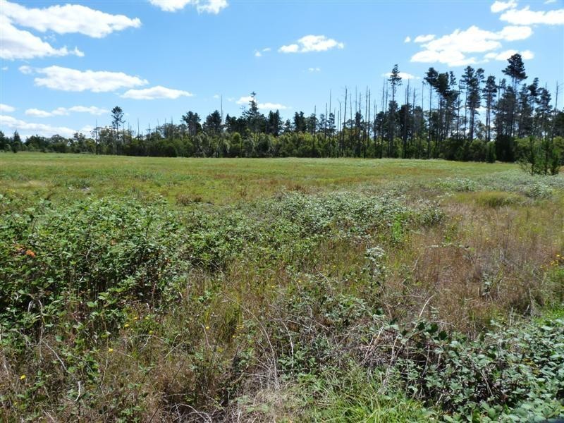 Lot 217 Sunrise Road, Sugarloaf via, Stanthorpe QLD 4380