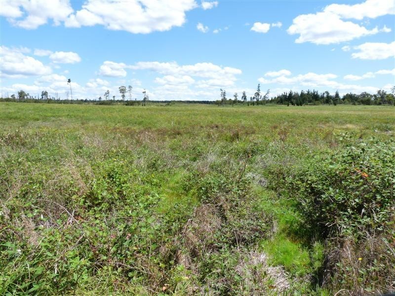 Lot 217 Sunrise Road, Sugarloaf via, Stanthorpe QLD 4380