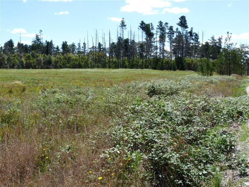 Lot 217 Sunrise Road, Sugarloaf via, Stanthorpe QLD 4380