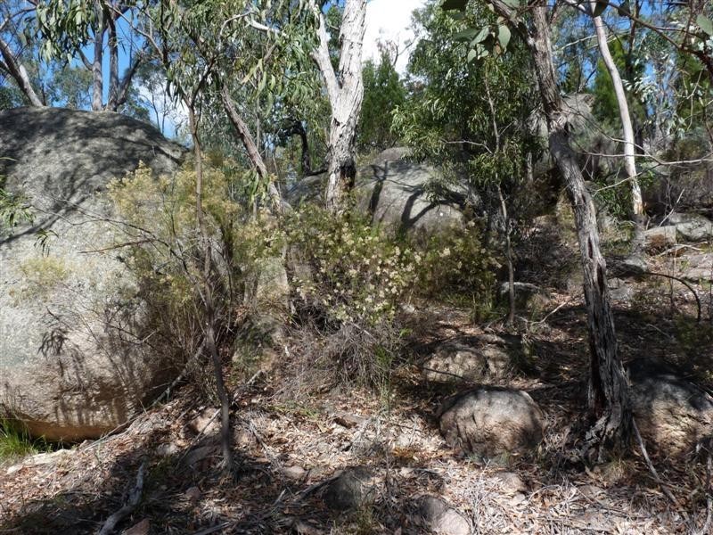 Lot 2 Watters Road, Stanthorpe QLD 4380