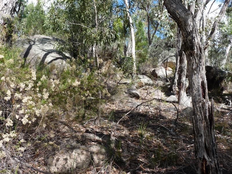 Lot 2 Watters Road, Stanthorpe QLD 4380