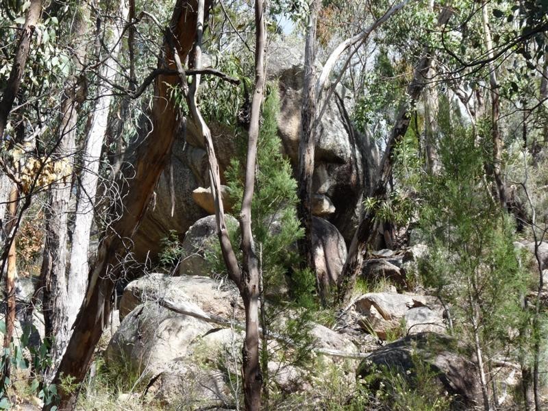 Lot 2 Watters Road, Stanthorpe QLD 4380