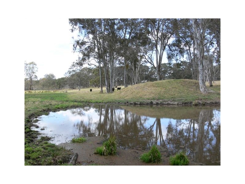 Lot 36 Tenterfield Street, Liston NSW 2372