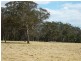 Lot 36 Tenterfield Street, Liston NSW 2372