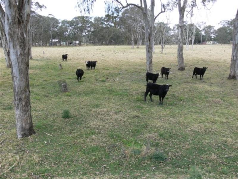 Lot 36 Tenterfield Street, Liston NSW 2372