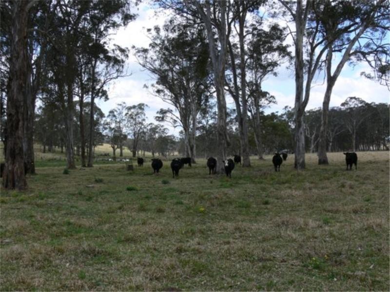 Lot 36 Tenterfield Street, Liston NSW 2372