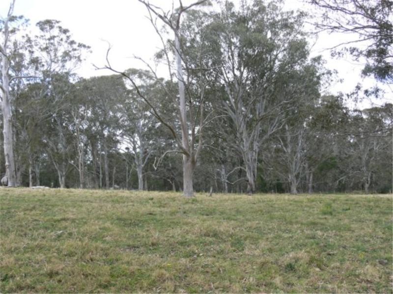 Lot 36 Tenterfield Street, Liston NSW 2372