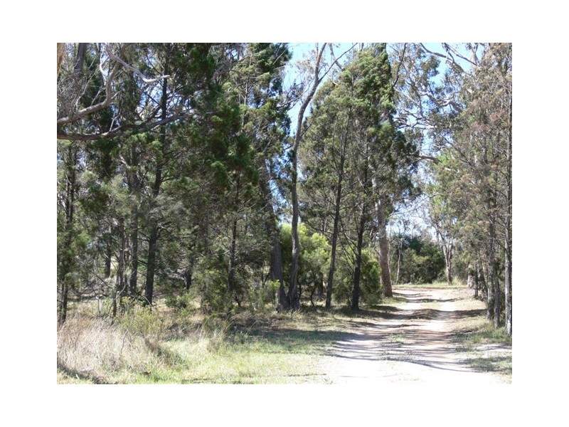 42 Sugarloaf Road, Stanthorpe QLD 4380