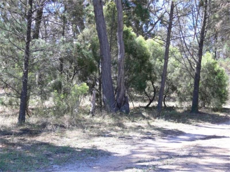 42 Sugarloaf Road, Stanthorpe QLD 4380