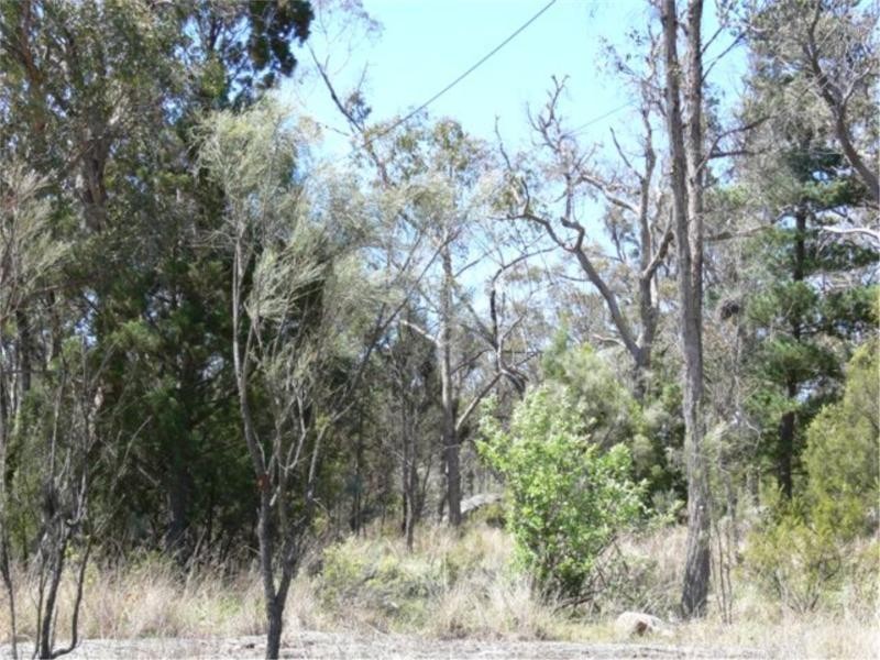 42 Sugarloaf Road, Stanthorpe QLD 4380