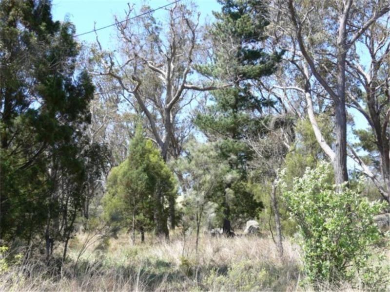 42 Sugarloaf Road, Stanthorpe QLD 4380