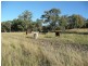 Lot 13 Saxby Road, Ballandean via, Stanthorpe QLD 4380