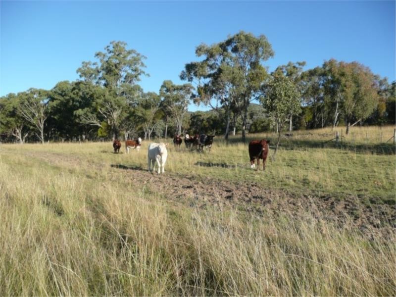 Lot 13 Saxby Road, Ballandean via, Stanthorpe QLD 4380